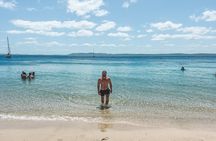 Newcastle: Port Stephens day tour - Dolphins, hike & swim!