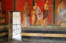 Pompeii Excavations and Mount Vesuvius Tour from Naples Port