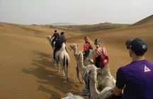 Inner Mongolia Hohhot 1Day Kubuqi Desert (Whistling Dune Bay)Tour