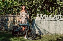 TOUR with an electric bike in Veliko Tarnovo