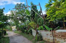 Mele Village Guided Walking Tour