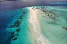 A Half Day Private Nakupenda Sandbank with Seafood BBQ Lunch