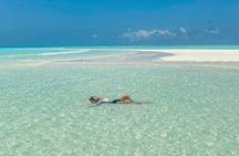 A Half Day Private Nakupenda Sandbank with Seafood BBQ Lunch