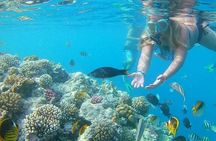 Island Hopping in Orange Bay and Giftun in Hurghada