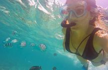 Swimming with DOLPHINS IN MNEMBA