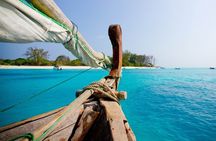 Swimming with DOLPHINS IN MNEMBA