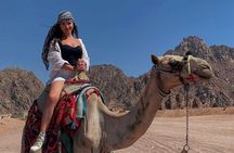 Safari ATV Quad, Camel, Sunset, Dinner and Show Sharm El Sheikh