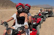 Safari ATV Quad, Camel, Sunset, Dinner and Show Sharm El Sheikh