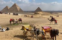 All inclusive Pyramids Tour, Egyptian Museum and Lunch 