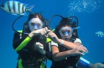 Ras Mohamed & White Island,Snorkeling & 1 Diving -Sharm el sheikh