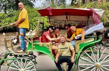 Horse and Carriage Ride with Majorelle Garden