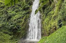 Materuni waterfall , coffee tour and hotsprings (chemka )