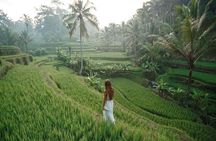 Bali 2 Days All-Inclusive Nusa Penida and Ubud Package