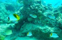 Madagascar Cultural and Natural Wonders Tour