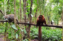 Madagascar Cultural and Natural Wonders Tour