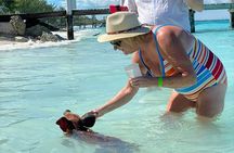 Rose Island Snorkeling, Lunch, Rum Punch and Swimming Pigs 