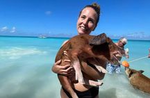 Rose Island Snorkeling, Lunch, Rum Punch and Swimming Pigs 