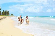 Chocaci Ranch Punta Cana Horse Monkey and Buggy