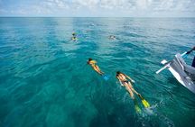 Key West Ragin' Cajun Seafood Two Stop Snorkel Adventure