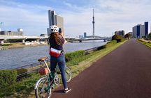 3hr Private E-bike Tours in Tokyo, Starting at your hotel