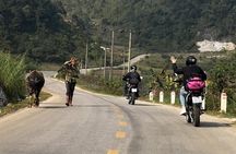 Ban Gioc Waterfall Full-Day With Local Guide