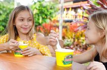 Haleiwa Express & Dole Plantation