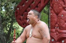 Bay of Islands 2-Day Small Group Tour & Cruise from Auckland