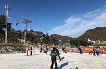 Jisan Forest Ski Resort and Everland 1 Day Tour