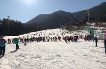Jisan Forest Ski Resort and Everland 1 Day Tour