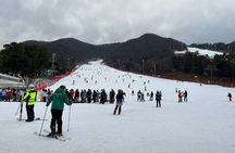 Jisan Forest Ski Resort and Everland 1 Day Tour