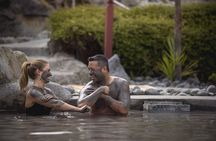 Hell's Gate Mud Spa & Thermal Park Group Day Tour from Auckland