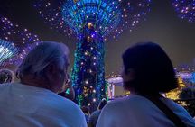 Private City Car Tour Singapore (4 Hours or 8 Hours)