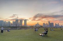 Private City Car Tour Singapore (4 Hours or 8 Hours)