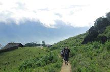 Sapa Motorbike Experience: Local Life, Rice Fields & Waterfalls