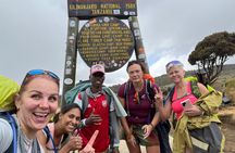 Conquering Kili The 7 Day Lemosho Adventure