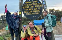 Conquering Kili The 7 Day Lemosho Adventure