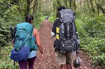 Conquering Kili The 7 Day Lemosho Adventure