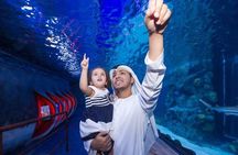 Burj Khalifa At The Top Dubai Aquarium and Underwater Zoo