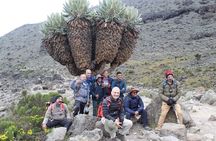 7 Days to the Roof of Africa The Machame Route Trek