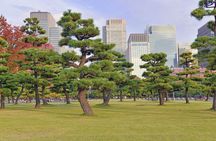 Tokyo Morning Small Group Tour