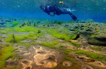 Double Snorkeling Adventure near Húsavík in North Iceland