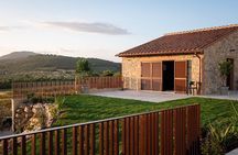 Winery tour and wine tasting in Maremma - Grosseto
