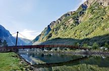 Full Day Tour to Naeroyfjord in Sognefjord, Flam and Stegastein