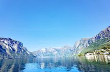 Full Day Tour to Naeroyfjord in Sognefjord, Flam and Stegastein
