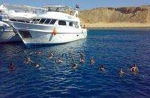 Snorkeling at White Island & Ras Mohammed - Sharm El-Sheikh