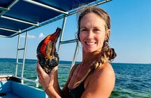 Snorkel Excursions with Good Jibez Only in Panama City Beach