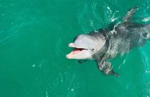 Snorkel Excursions with Good Jibez Only in Panama City Beach
