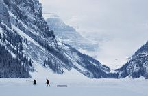 Lake Louise, Emerald Lake and Peyto Lake 3 lakes tour from Banff 