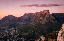 Table Mountain, Cape of good hope Full Day Shared Group Tour 