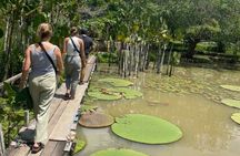 3 Day All-Inclusive Guided Jungle Tour from Iquitos